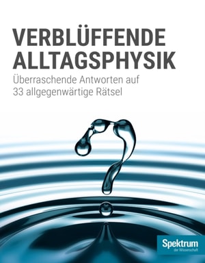 Gehirn&Geist 11/2019 -Ordnung im Kopf