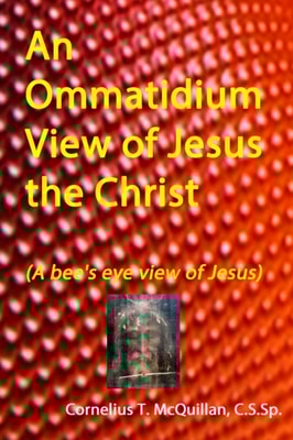 Ommatidium View of Jesus, the Christ (A bee's eye view of Jesus)