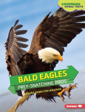 Bald Eagles