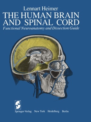 Human Brain and Spinal Cord