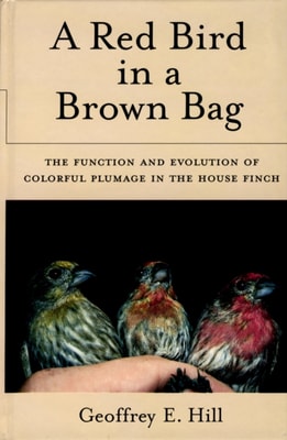 Red Bird in a Brown Bag