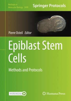 Epiblast Stem Cells