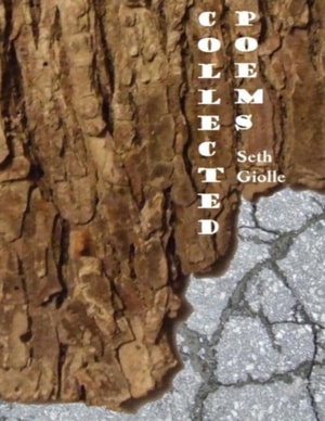 God and Politics: A Collection of Essays and Poems