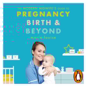 Modern Midwife's Guide to Pregnancy, Birth and Beyond