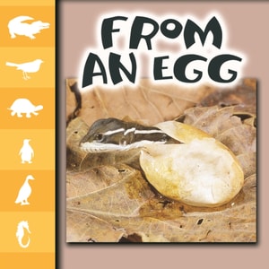 From An Egg