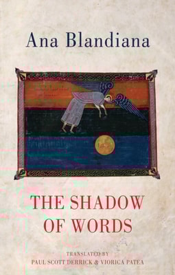Shadow of Words