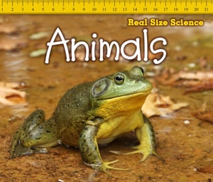Animals
