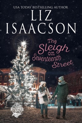 Sleigh on Seventeenth Street