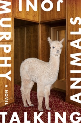 Niche