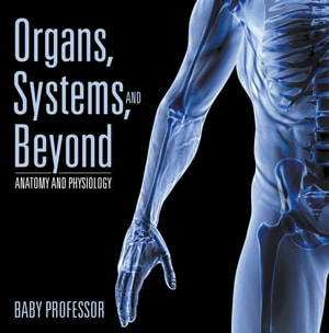 Organs, Systems, and Beyond | Anatomy and Physiology