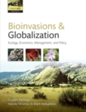Polarisation: Applications in Remote Sensing