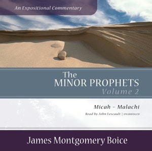 Minor Prophets: An Expositional Commentary, Volume 2