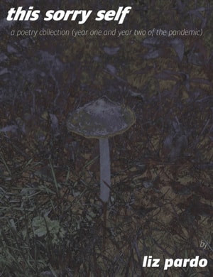 This Sorry Self: A Poetry Collection (Year One and Year Two of the Pandemic)