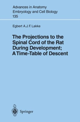 Projections to the Spinal Cord of the Rat During Development: A Timetable of Descent