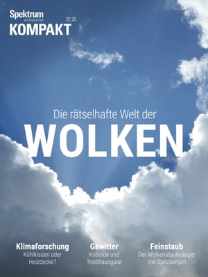 Spektrum Spezial - Sprache