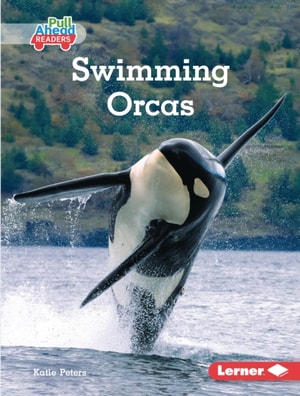 Swimming Orcas