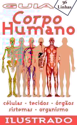 Guia 36: Corpo Humano