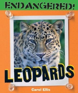 Leopards