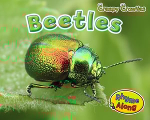 Beetles