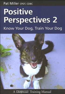 POSITIVE PERSPECTIVES 2