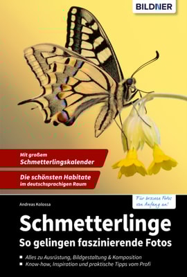 Schmetterlinge 