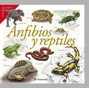 Anfibios y reptiles