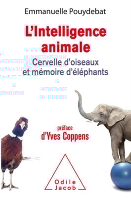 L' Intelligence animale