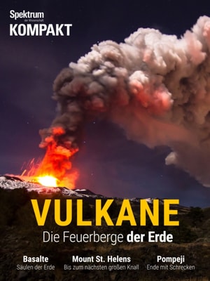Gehirn&Geist 12/2018 Bildung