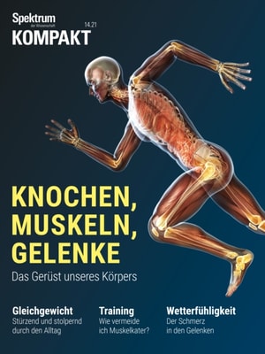 Spektrum Kompakt- Algorithmen im Alltag