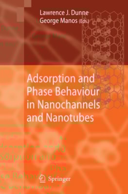 Adsorption and Phase Behaviour in Nanochannels and Nanotubes