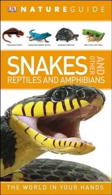 Nature Guide Snakes and Other Reptiles and Amphibians