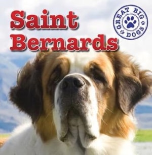 St. Bernards