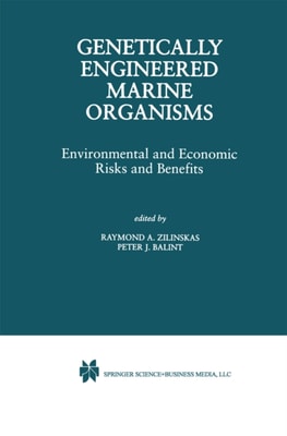 Global Environmental Economics