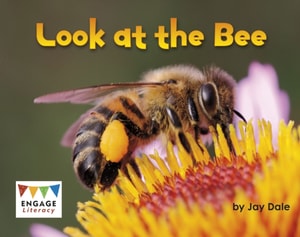 Look at the Bee