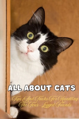 all About Cats