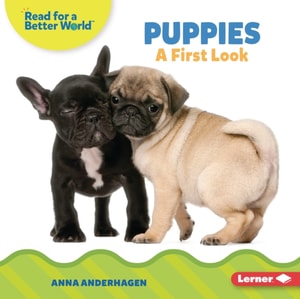Puppies