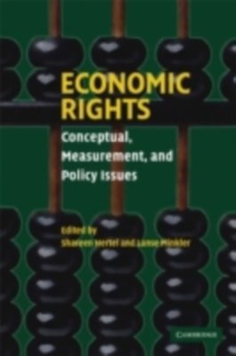 Economic Rights
