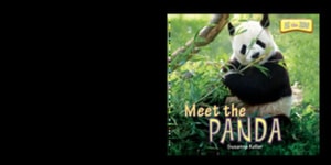 Meet the Panda