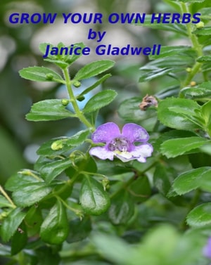 Grow Your Own Herbs