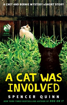 Cat Was Involved