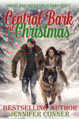 Central Bark at Christmas