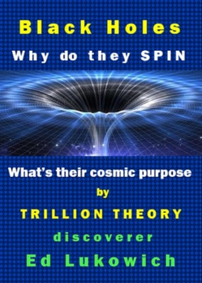 Black Holes: Why Do They Spin