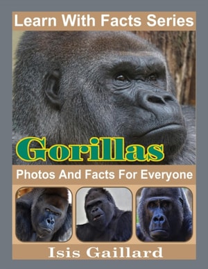 Gorillas Photos and Facts for Everyone