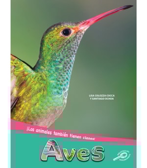 Aves