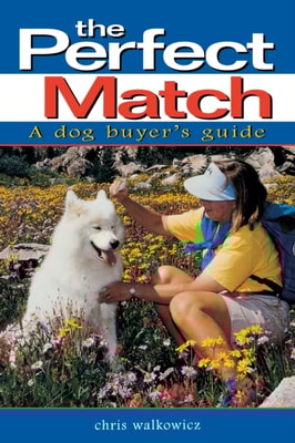 Perfect Match