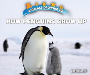 How Penguins Grow Up