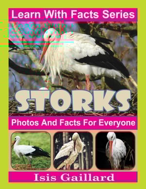 Storks Photos and Facts for Everyone