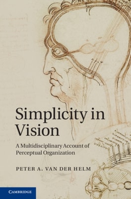 Simplicity in Vision