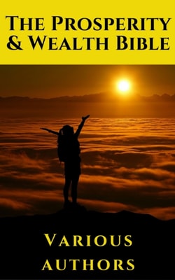 Prosperity & Wealth Bible