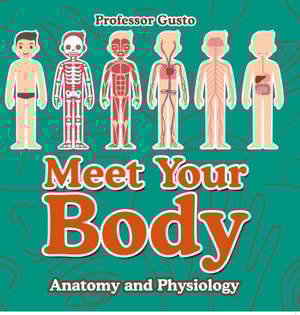 Meet Your Body - Baby's First Book | Anatomy and Physiology